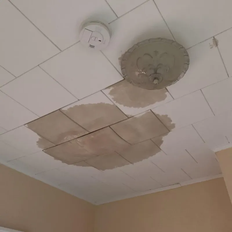 Ceiling Water Damage Repair in Woodward, IA