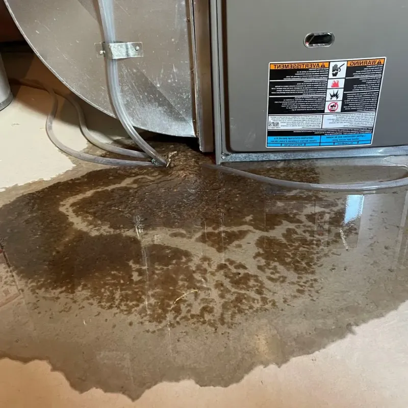 Pipe Burst and Leak Restoration in Woodward, IA
