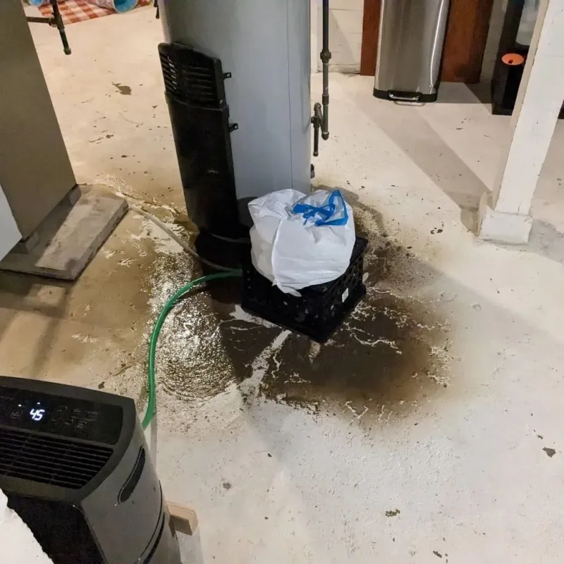 Sewage Backup Cleanup Service in Woodward, IA